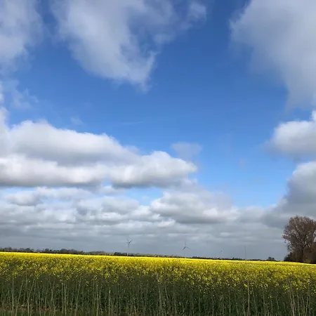 Lejlighed Tief 12 Wellenreiter 64 Schillig