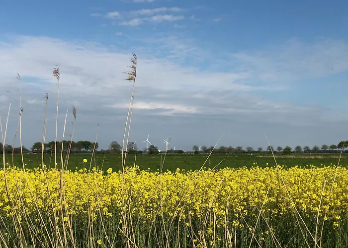 Tief 12 Wellenreiter 64